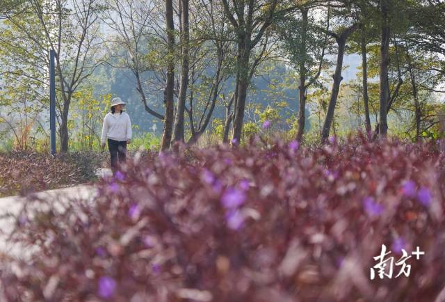公園設計突出“生態(tài)”主題，保留了較多天然風貌。 南方+ 葉志文 攝
