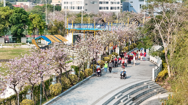 中山市頤康老年服務中心組織的長者活動。受訪單位供圖 中山市頤康老年服務中心組織的長者活動。受訪單位供圖
