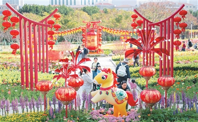 為迎接農(nóng)歷新年到來，澳門市政署近日在氹仔龍環(huán)葡韻舉行慶新春主題花展，花展以馬年裝飾為主題，讓市民及游客感受濃厚的新春節(jié)日氣氛。圖為市民在新春主題花展上參觀。張金加攝（新華社發(fā)）