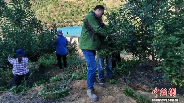 已編輯圖片